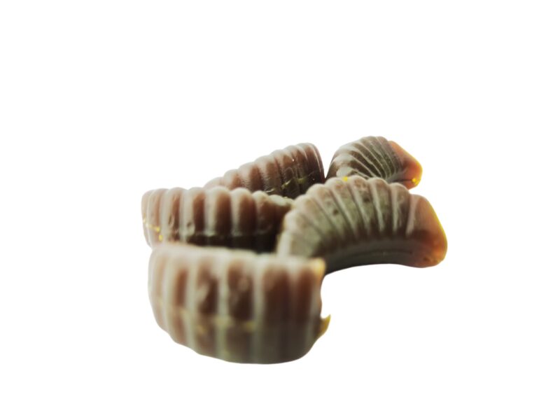 Rich in Vitamins and Nutrients Shilajit Gummies Candy Promotes Cell Activity and Boosts Energy Supplement - 图片 2
